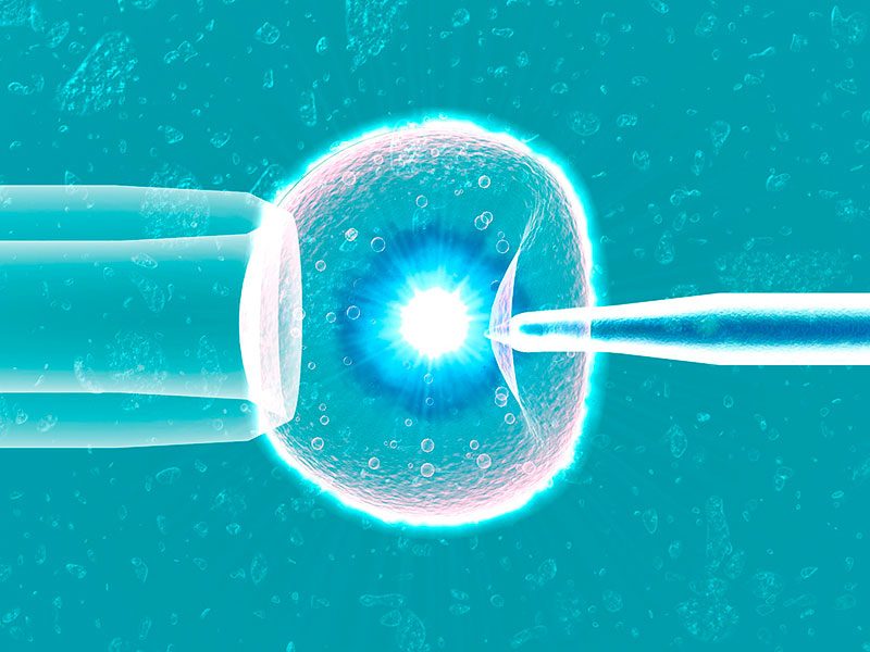 egg-freezing-procedure-s